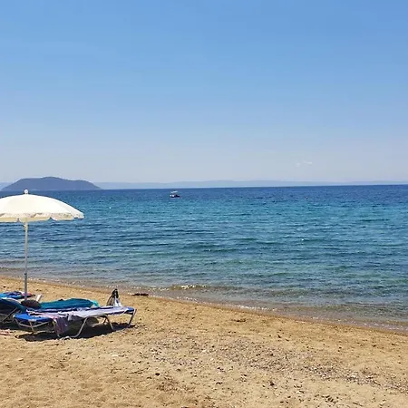 ベッド・アンド・ブレックファスト Jnp *