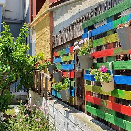 Jnp ネオス・マルマラス