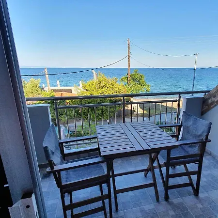 Jnp ネオス・マルマラス