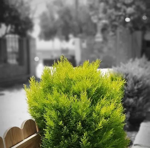 Jnp * Néos Marmarás