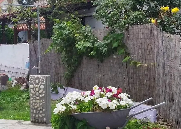 Jnp Alojamento de Acomodação e Pequeno-almoço